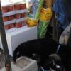 futter_6