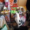 futter_7