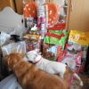 futter_8
