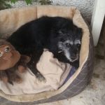 futter_rita_2