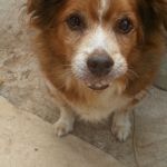 futter_rita_3