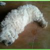 ronny_2